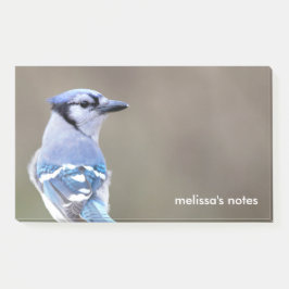 Niedlich Blue Jay Songbird auf Treestump Post-it Klebezettel