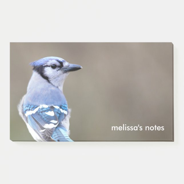 Niedlich Blue Jay Songbird auf Treestump Post-it Klebezettel (Vorderseite)