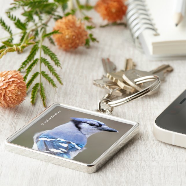 Niedlich Blue Jay Songbird auf Treestump Schlüsselanhänger (Seite)