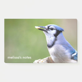 Niedlich Blue Jay Songbird mit Erdnuss Post-it Klebezettel