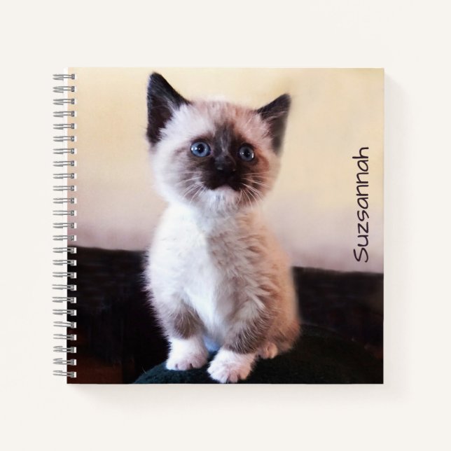 Niedlich Blue Mit Augen Pet Siamese Kitten Platzha Notizbuch (Vorderseite)