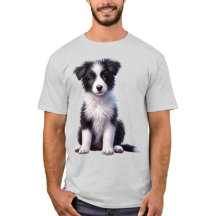 Niedlich Border Collie Puppy