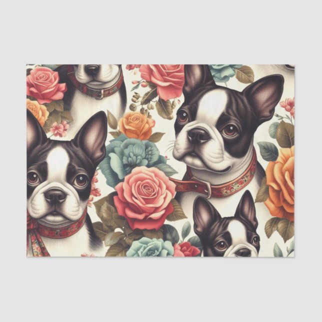 Niedlich Boston Terrier Illustration Seidenpapier (Vorderseite)