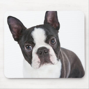Niedlich Boston Terrier Mama Welpe Funny Dog Lover Mousepad