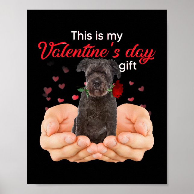 Niedlich Bouvier des Flandres Dies ist meine Valen Poster (Vorne)