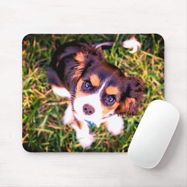 Niedlich-braune und weißwütende Welpe Mousepad (Mit Mouse)
