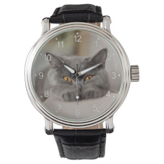 Niedlich British Shorthair Cat Armbanduhr