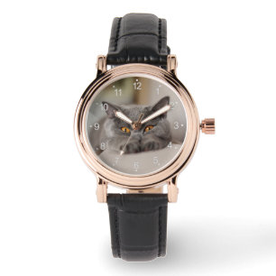 Niedlich British Shorthair Cat Armbanduhr