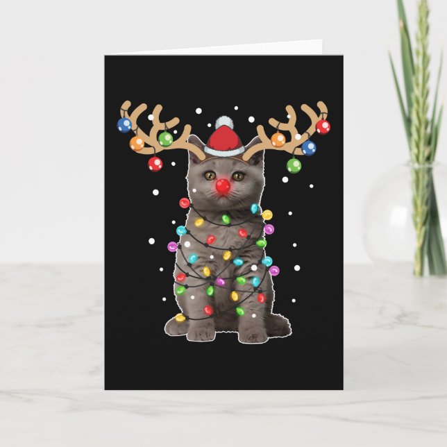 Niedlich British Shorthair Cat Funny Christmas Hol Karte (Vorderseite)