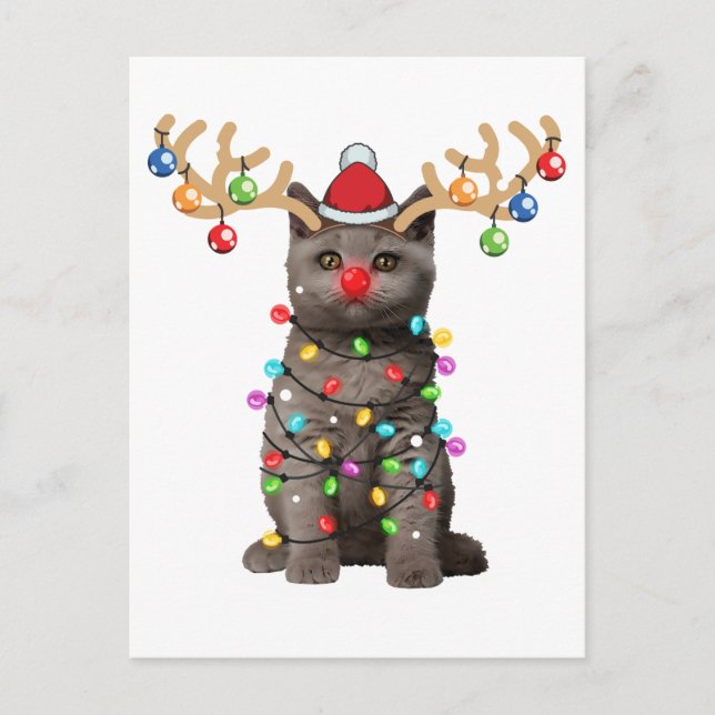 Niedlich British Shorthair Cat Funny Christmas Hol Postkarte (Vorderseite)