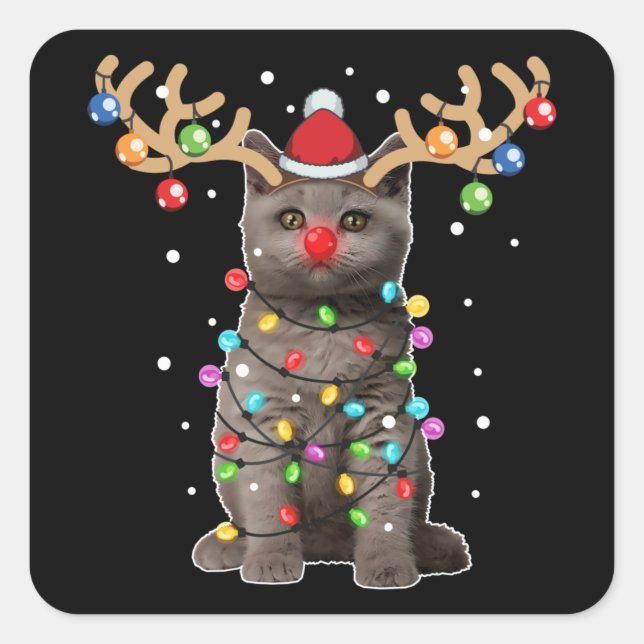 Niedlich British Shorthair Cat Funny Christmas Hol Quadratischer Aufkleber (Vorderseite)
