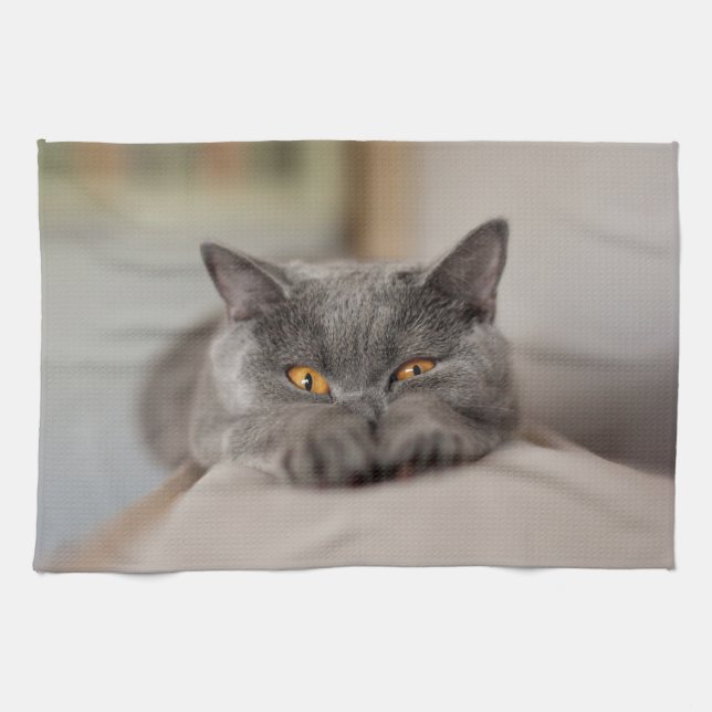 Niedlich British Shorthair Cat Geschirrtuch (Horizontal)