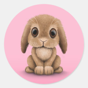 Niedlich Brown Baby Bunny Rabbit auf Pink Runder Aufkleber