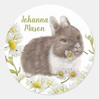 Niedlich Brown Bunny mit Daisies Round Sticker
