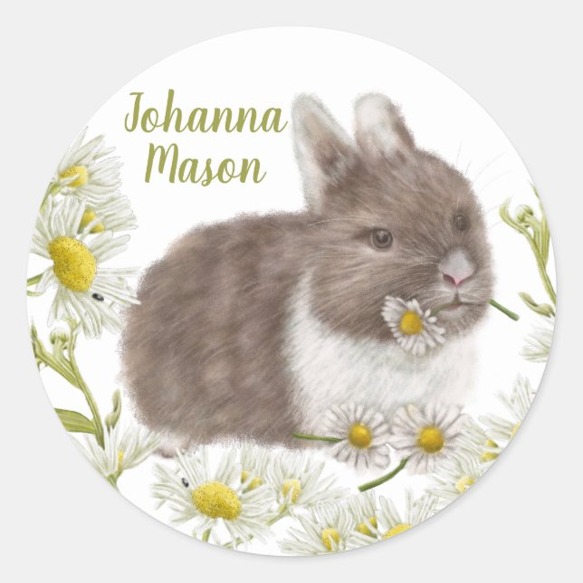 Niedlich Brown Bunny mit Daisies Round Sticker (Vorderseite)