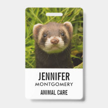 Niedlich Brown Ferret im Gras