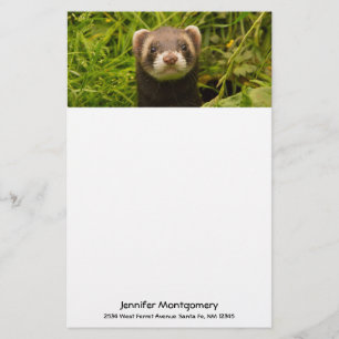 Niedlich Brown Ferret im Gras Briefpapier