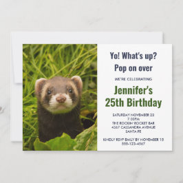 Niedlich Brown Ferret im Gras Einladung