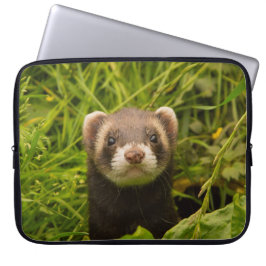 Niedlich Brown Ferret im Gras-Foto Laptopschutzhülle