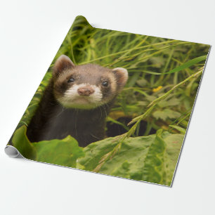 Niedlich Brown Ferret im Gras Geschenkpapier