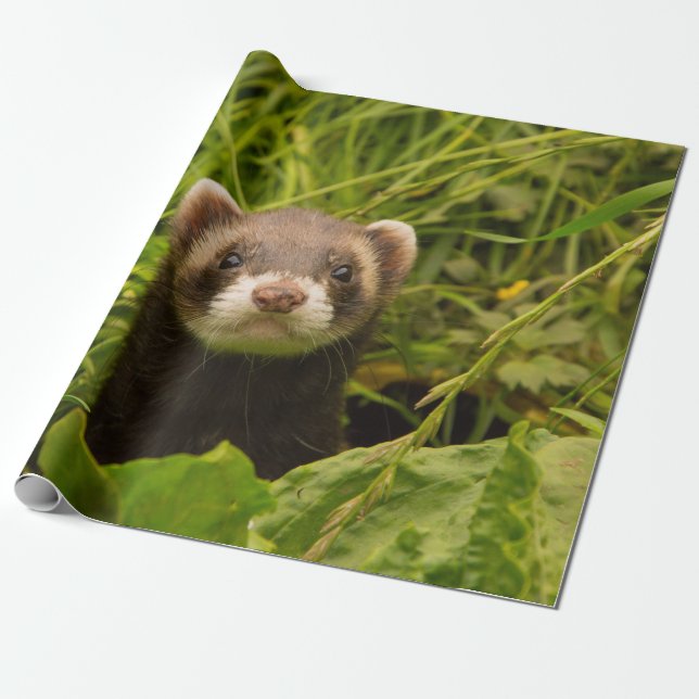 Niedlich Brown Ferret im Gras Geschenkpapier (Ungerollt)