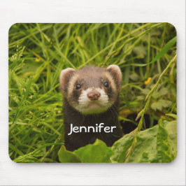 Niedlich Brown Ferret im Gras Mousepad