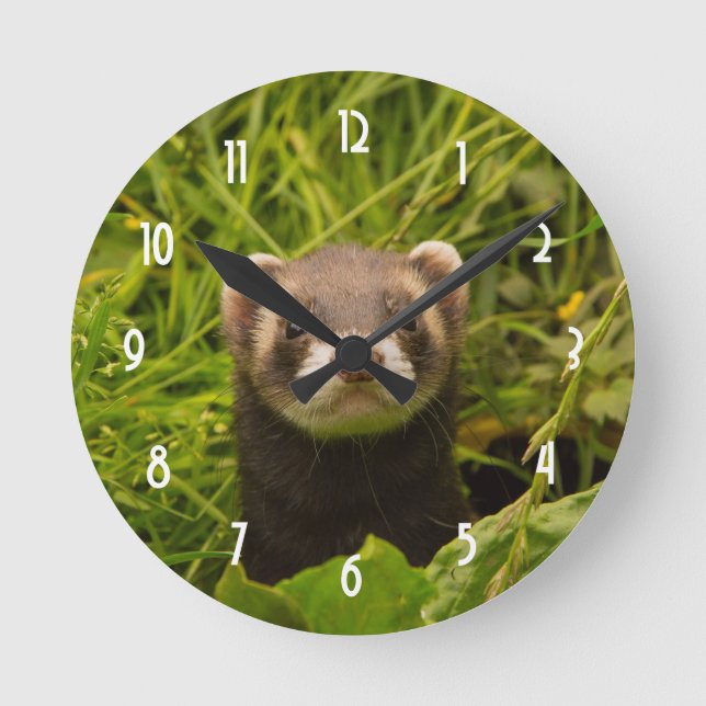 Niedlich Brown Ferret im Gras Runde Wanduhr (Vorderseite)