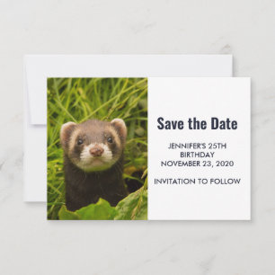 Niedlich Brown Ferret im Gras Save The Date