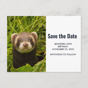 Niedlich Brown Ferret im Gras Save the Date Einladungspostkarte