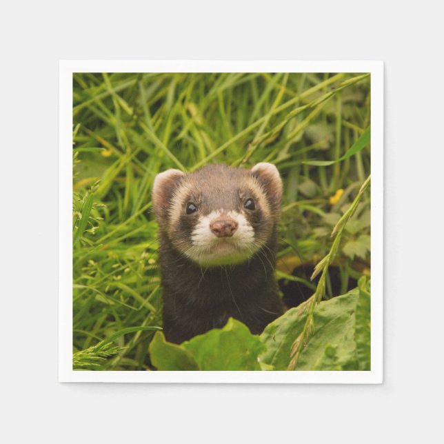 Niedlich Brown Ferret im Gras Serviette (Vorderseite)