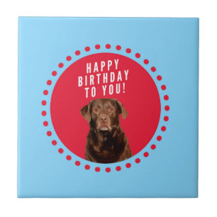 Niedlich Brown Labrador Retriever Hund Happy Birth Fliese