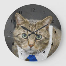 Niedlich Brown Tabby Cat Green Eyes Blue Krawatte