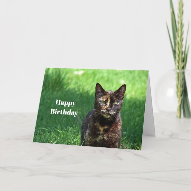 Niedlich Brown Tortoiseshell Cat Foto Geburtstag Karte (Vorderseite)