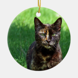 Niedlich Brown Tortoiseshell Cat Foto Keramik Ornament