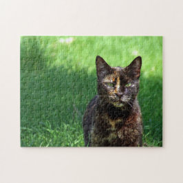 Niedlich Brown Tortoiseshell Cat Foto Puzzle