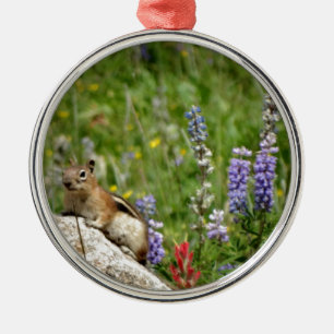 Niedlich Brown White Chipmunk Silbernes Ornament