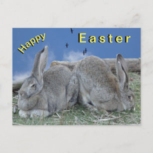 Niedlich Bunnies Happy Oaster Postcard Postkarte