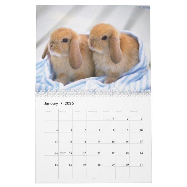 Niedlich Bunnies Kalender (Jan 2026)
