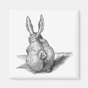 Niedlich Bunny Magnet
