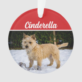 Niedlich Cairn Terrier Dog Weihnachtsfeiertag Foto Ornament