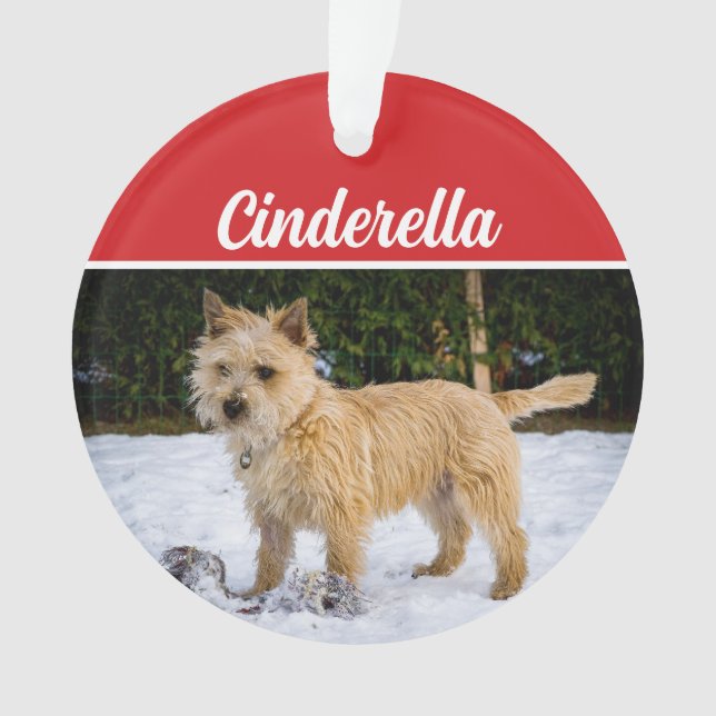 Niedlich Cairn Terrier Dog Weihnachtsfeiertag Foto Ornament (Vorderseite)