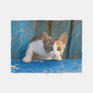 Niedlich Calico Cat Kitten Funny Curry Eyes Foto _ Fleecedecke