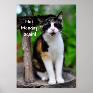 Niedlich Calico Cat "Nicht Montag wieder!" Poster