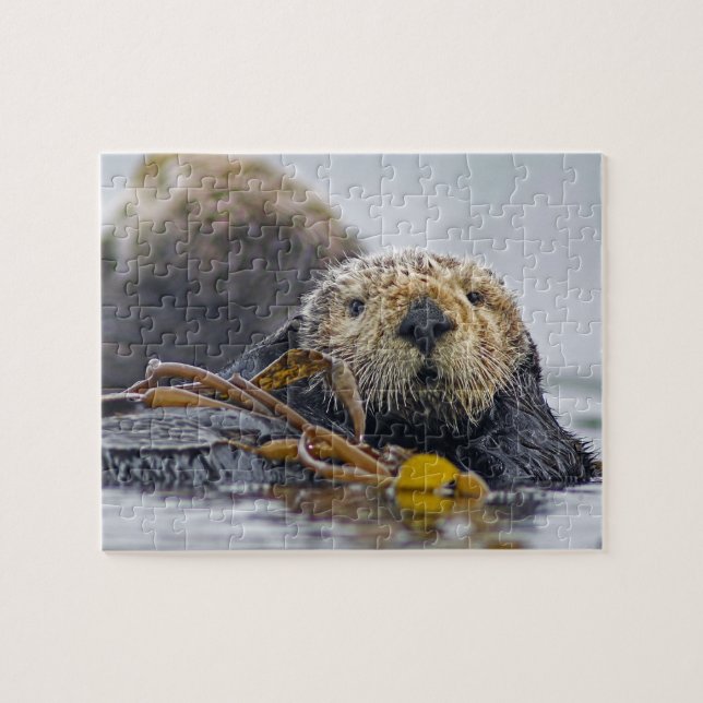 Niedlich California Sea Otter - Naturfotografie Puzzle (Horizontal)