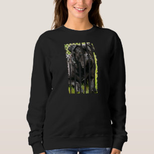 Niedlich Cane Corso Dog Picture Funny Puppy Americ Sweatshirt