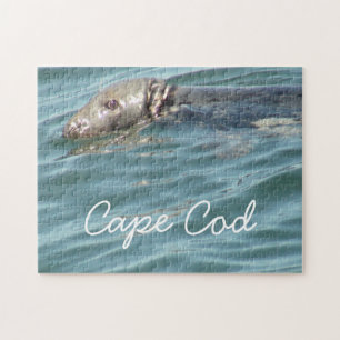 Niedlich Cape Cod Siegel Fotografie Puzzle