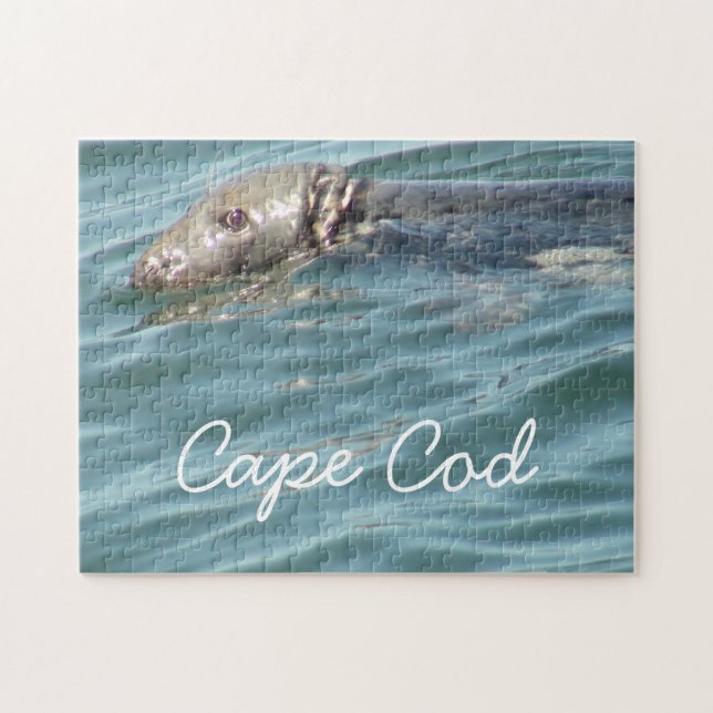 Niedlich Cape Cod Siegel Fotografie Puzzle (Horizontal)