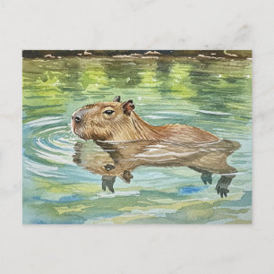 Niedlich Capybara Schwimmen Postkarte