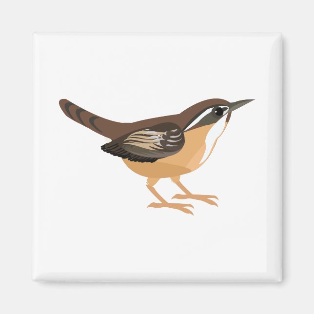 Niedlich Carolina Wren Magnet (Vorne)