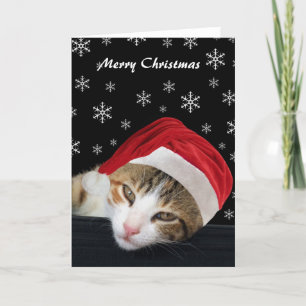 Niedlich Cat Christmas Cards Feiertagskarte